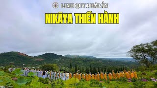 NIKAYA Thiền Hành - Ta Dại Khờ Ta Tìm Nơi Vắng Vẻ