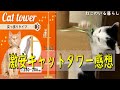 【猫商品レビュー】激安キャットタワーを購入して使ってみた感想