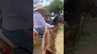 Así se ponen las cabalgatas en el rancho cuando en Zacatecas #caballos #zacatecas #horse #cabalgata