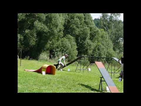 Agility training with Hedvika Rychnovsk - BC Eseja...