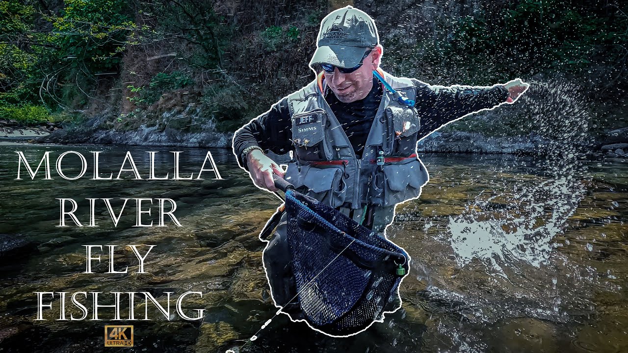 WILD day on Oregon's Molalla River! MidSummer Fly Fishing 2023! YouTube
