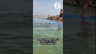 Stand Up Paddle Boarder Attacks Shark