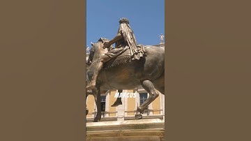 Patience and Resilience: The Stoic Way of Life The Stoic Mind