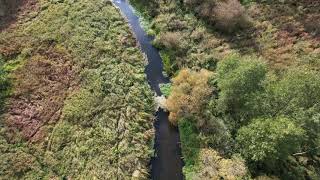 Rega W Okolicy Worowa