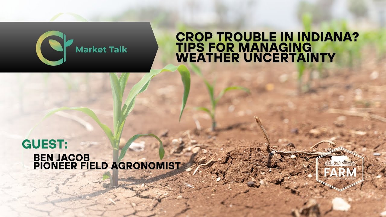 Crop Trouble in Indiana? Tips for Managing Weather Uncertainty Crop Trouble in Indiana? Tips for Managing Weather Uncertainty
