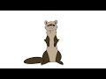 Dancing ferret animation //meme// thank you 70k+