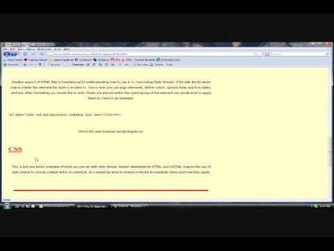 The Basics of HTML