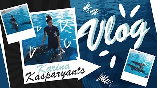 Супер ВЛОЖИК! Купаемся с дельфинами с Юлей 🐬❤️ Супер ВЛОЖИК! Купаемся с дельфинами с Юлей 🐬❤️