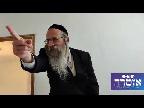 הרב אליהו גודלבסקי | הלכות סימני בהמה וחיה טהורה אות ד