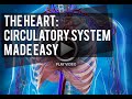 The Circulatory System [Made Easy]