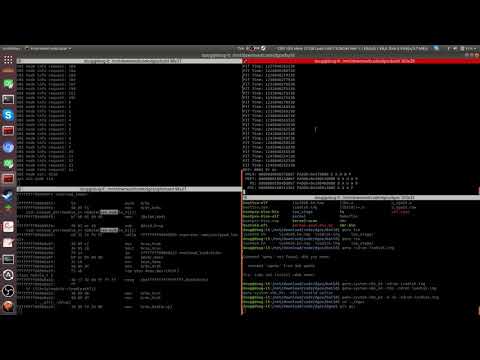 dgos kernel module