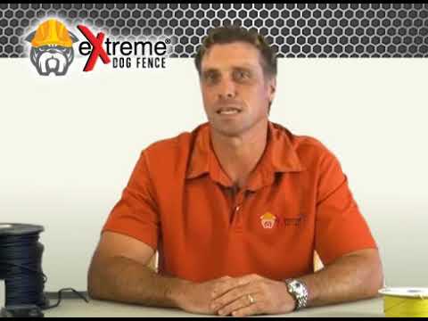 How To Install An Extreme In Ground Dog Fence System 