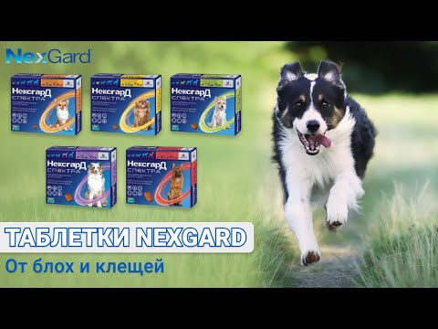 ቪዲዮ: Nexgard ውሻዬን ያደክመኛል?