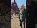 #horseracing #horse #horses #horseriding #horsepower