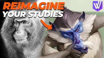 How to Draw from Imagination? Techniques & Tips