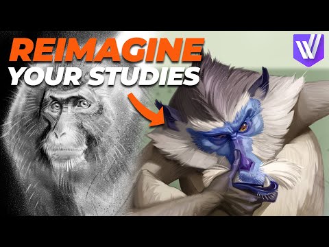 How to Draw from Imagination? Techniques & Tips
