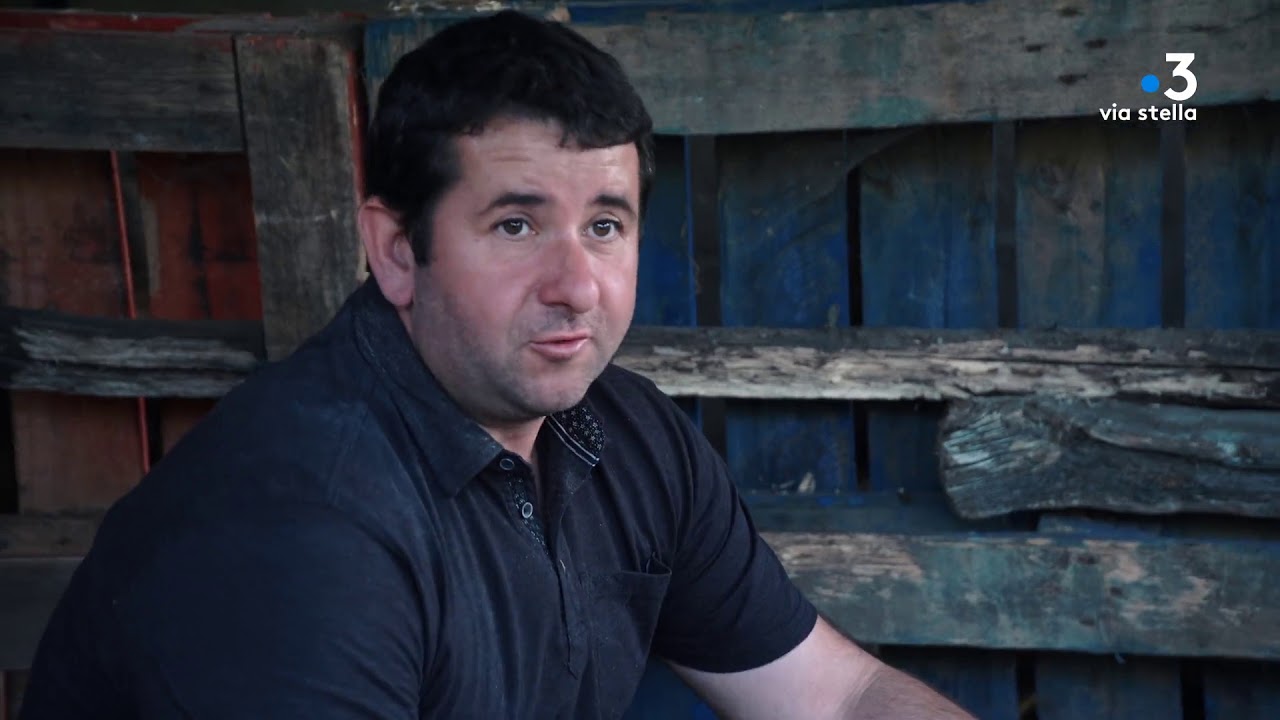 Agri'stella - Dumè Cesari