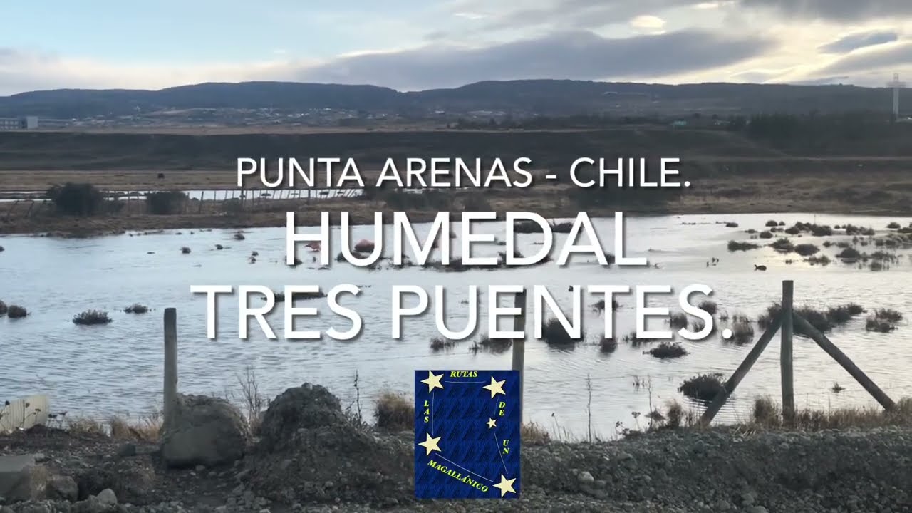 HUMEDAL TRES PUENTES #chile #puntaarenas #travel #love #youtube #video #patagonia #instagram #trip