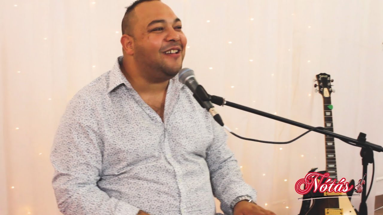 Seres Jani - Alma a fa alatt mix