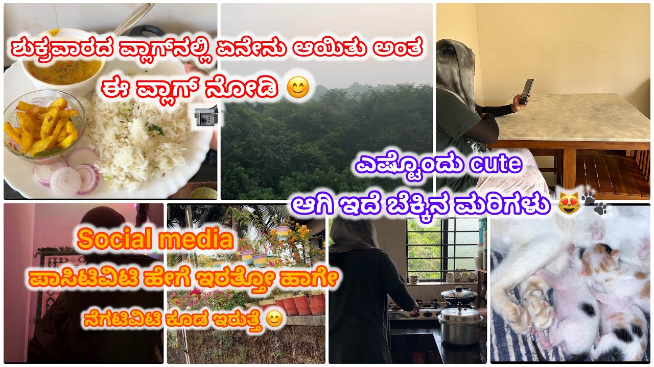 ಪಾಸಿಟಿವಿಟಿ ಮತ್ತು ನೆಗಟಿವಿಟಿ ಇವು ಎರಡು Social Media ದಲ್ಲಿ ಇರುತ್ತವೆ 🌐🙂