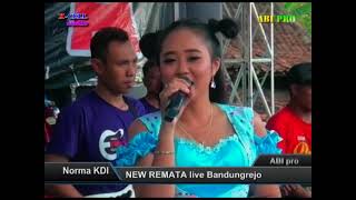 mengejar badai  - norma kdi