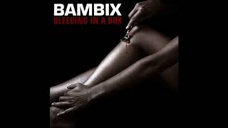 Bambix - Bleeding in a Box (2008) - Full Album #fullalbum #punkrock #NL