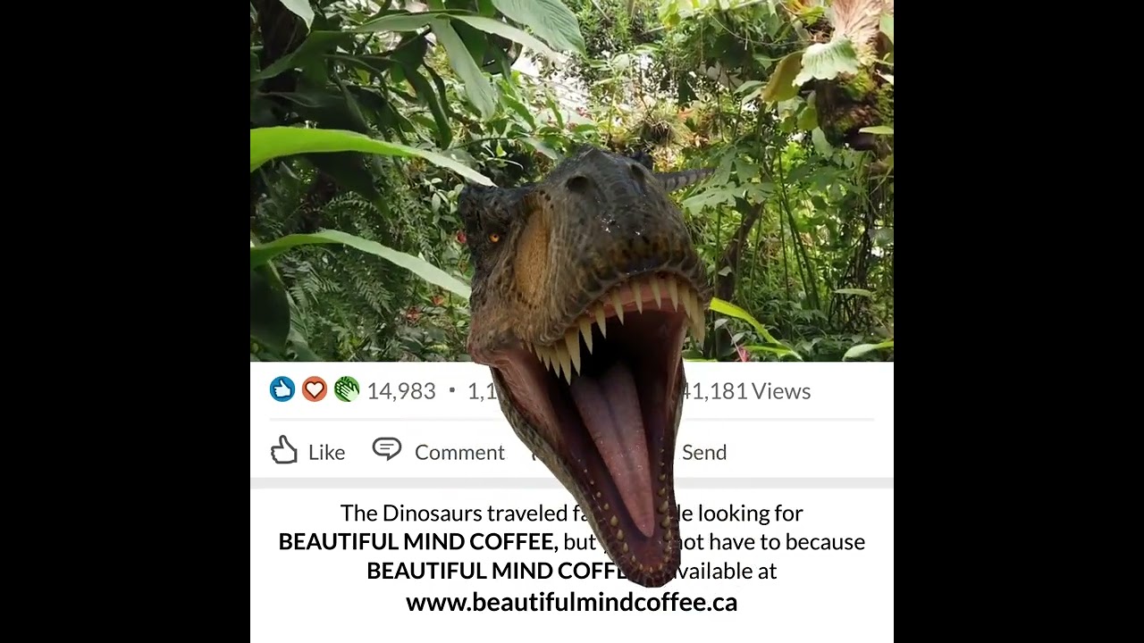 Beautiful Mind Coffee - Dinosaur Social Media Clip