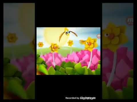 Baraem Girls Sitting