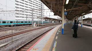 1月11日大船駅 E259系 横クラNe006編成 入線