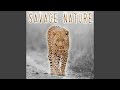 Savage nature full version