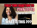 Awesome First Time Reaction To Pink Floyd - Comfortably Numb