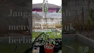 Download Lagu jangan pernah menyaesal untuk berbuat baik MP3