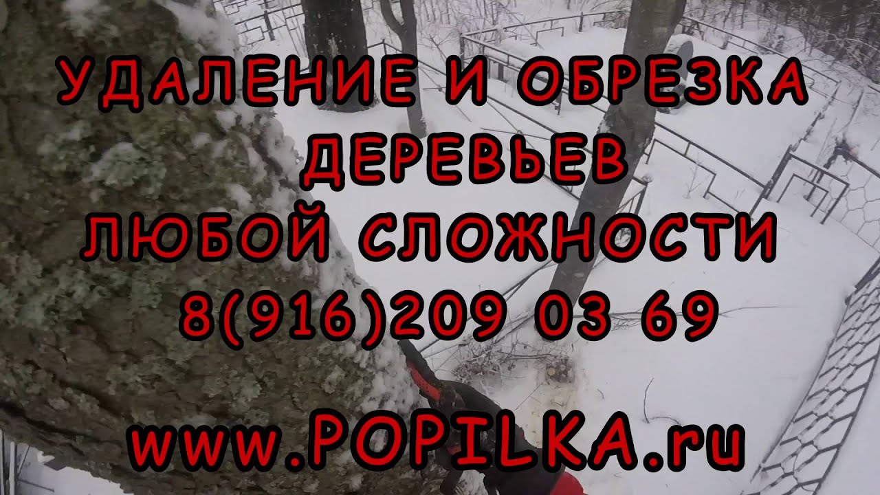 Удаление деревьев на кладбище Московская область Сергиев Посад ...