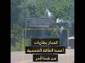 #news #حر_شديد طاقة_شمسية #ntlb #tv قناة_نور_طرابلس_التلفزيونية