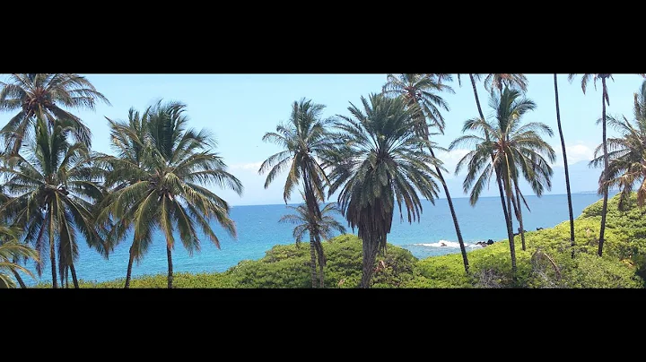 Sector V Salt Lake Kolkata IT Hub - 2019