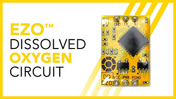 The EZO-DO™ Embedded Dissolved Oxygen Circuit | Atlas Scientific