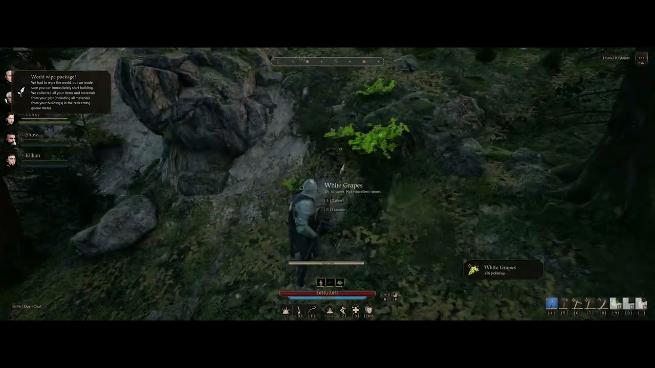 White Grape Run - Pax Dei