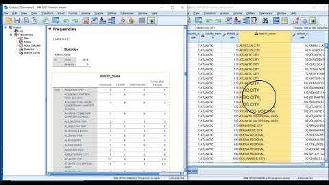 Using SPSS to Create a Frequency Table