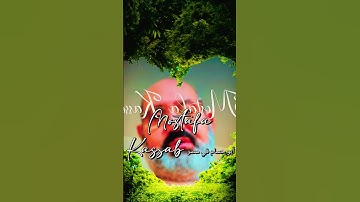 سورة القصص #قران_كريم #تلاوة_خاشعة #السعودية #مصر #اكسبلور #duet #ترند