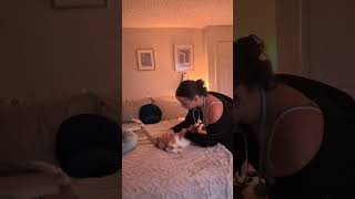 A Patient Skills Honestly