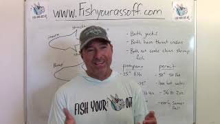 What is the difference between a pompano and a permit?
