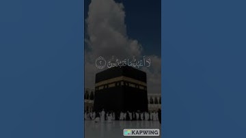 سورة الكافرون شاشة سوداء للشيخ ماهر المعيقلي