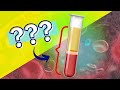 Understanding Blood Components and Functions