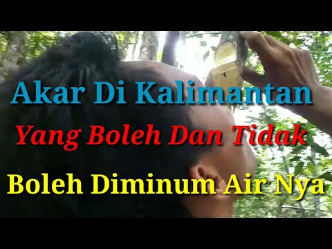 Video: Kongsi senyuman anda! Cat air 