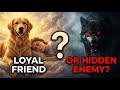Dreaming of DOGS Loyal Friend or Hidden Enemy?