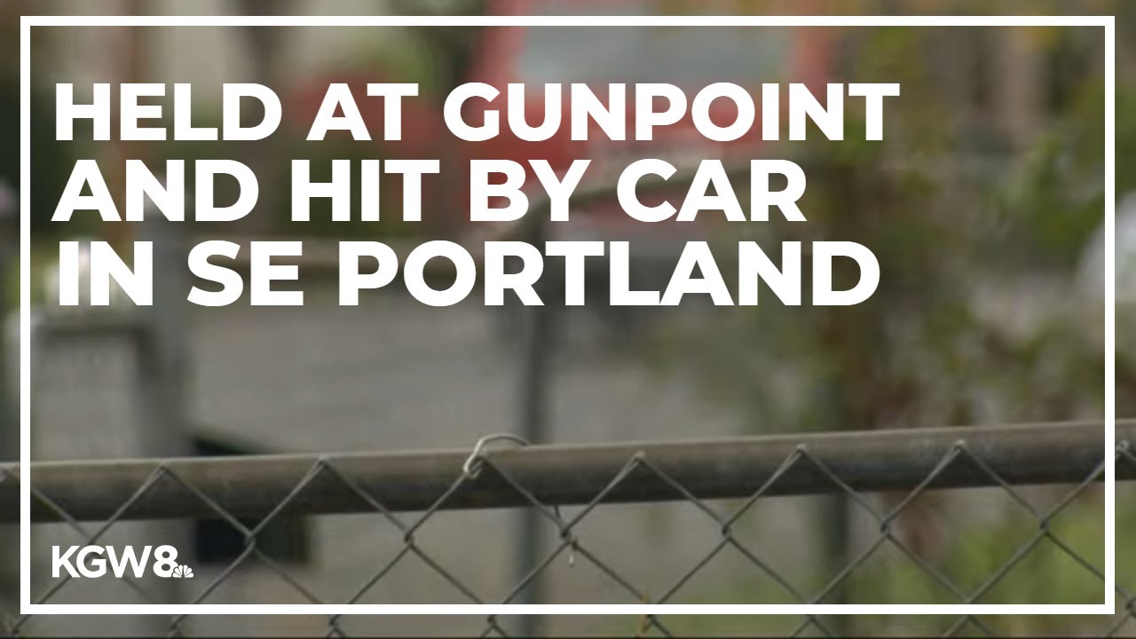 Man held at gunpoint, hit by car while walking his dog in Southeast ...