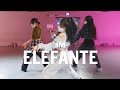 NK - ELEFANTE / Minny Park Choreography