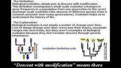 6th Foundational Falsehood of Creationism