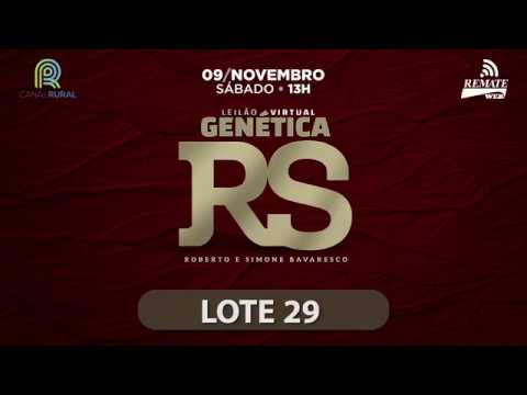 LOTE 29