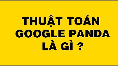 Thuật toán Google Panda là gì ? bí kíp sống còn khi làm SEO ?